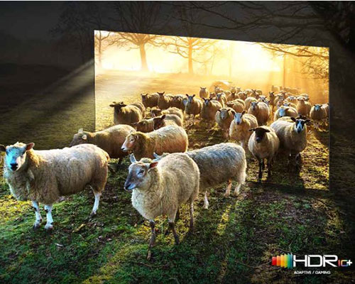 Sheep are coming out from a Neo QLED TV. There is a comparison between SDR and HDR 10+ quality in color and brightness.