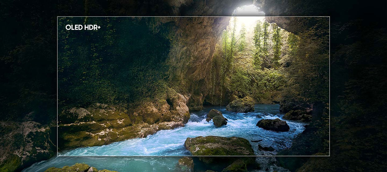 A scene in nature is highlighted at the center in the outline of a TV screen, showing how OLED HDR+ reveals bright highlights and hidden details in the scene.
