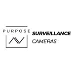 Picture for manufacturer PAV Surveillance Camera